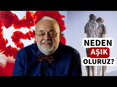 NEDEN AŞIK OLURUZ?