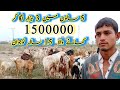 Goat farm || How to start goat Farm || Goat farming in Pakistan