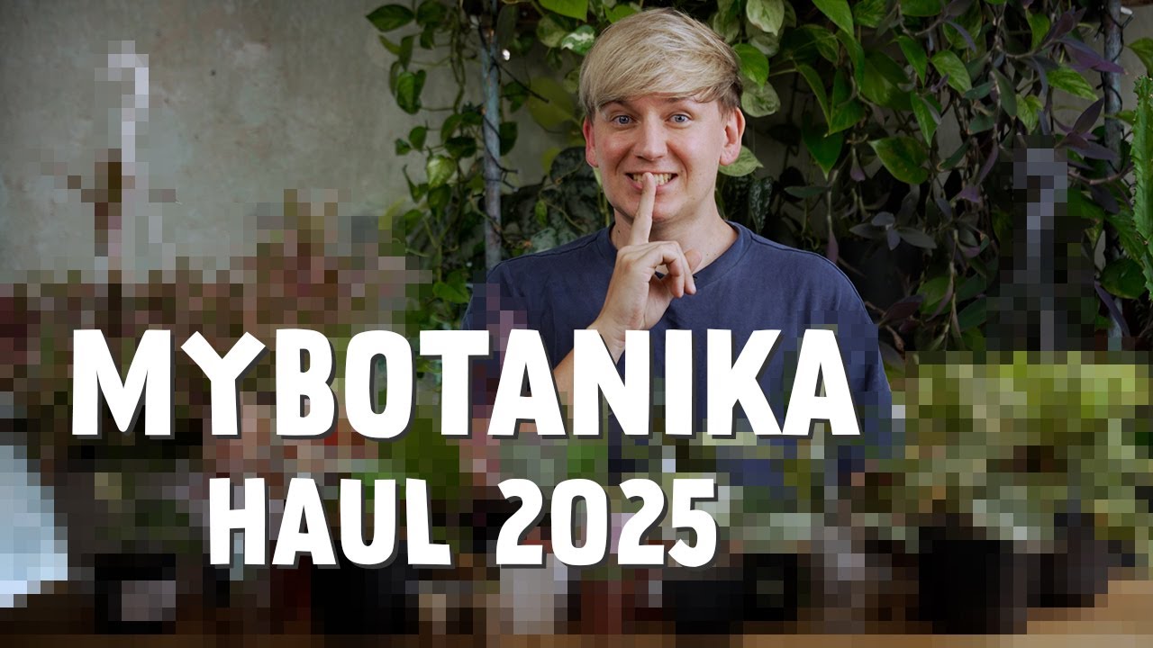 XXL Plant Haul 😱 Diese 25+ Pflanzen habe ich auf der MYBOTANIKA in Hamm gekauft 🛒👀