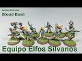 Equipo Elfos Silvanos Blood Bowl