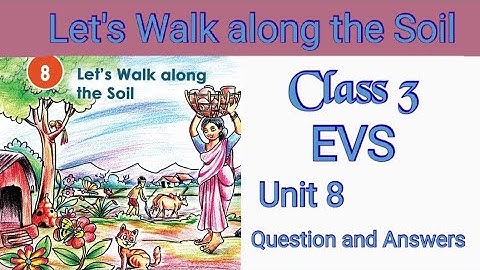 Class 3 EVS  Chapter 8 (Let
