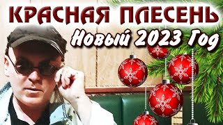 Новогоднее Поздравление Яцыны Павла С 2023 Годом!