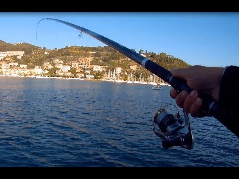 Video: Pesca Delle Orate Invernali: Conosci E Sii Capace