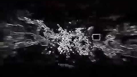 Shockwave Intro No Text Free Download