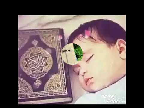 точикам бо точикистон зиндаам эссе. хакикат. модар стихи. точикфилм 2021. дили захмдор.