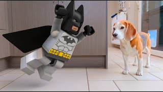 Animations in REAL LIFE vs CUTE DOG :  LEGO Batman by Louie The Beagle 21,197 views 8 months ago 1 minute, 26 seconds