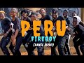 Fireboy - Peru (Dance Video)