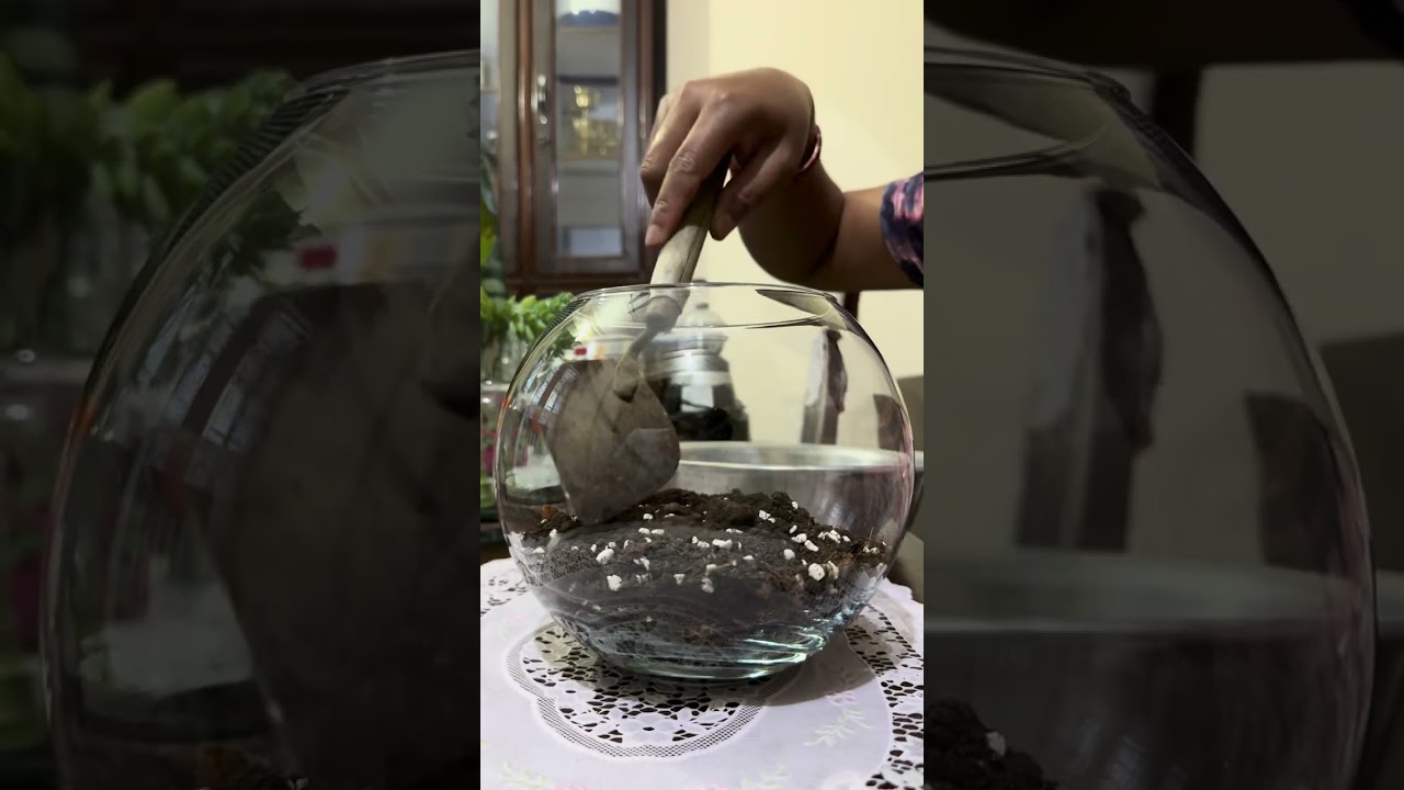 Mero 1st time jaar ma burros tail rupdai sathi haru kadto xa😝😄