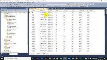 SQL Server Select Statment (2) جملة الاستعلام من قواعد البيانات