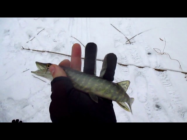 Гонец на болду