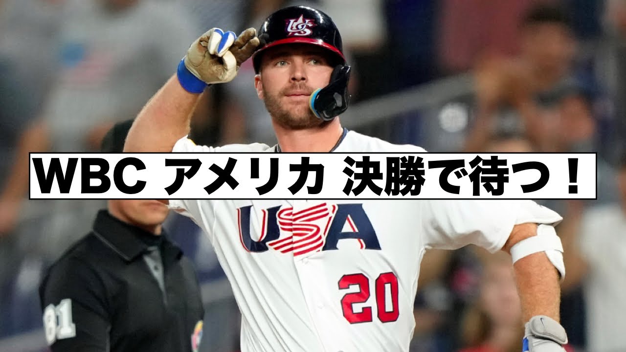 WBC 決勝 アメリカ戦 & 準決勝 メキシコ戦 チケット ＋ 公式ガイドブック WBC 決勝 アメリカ戦 & 準決勝 メキシコ戦 チケット ＋ 公式