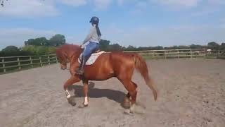 Ad ref 242966 Video 1