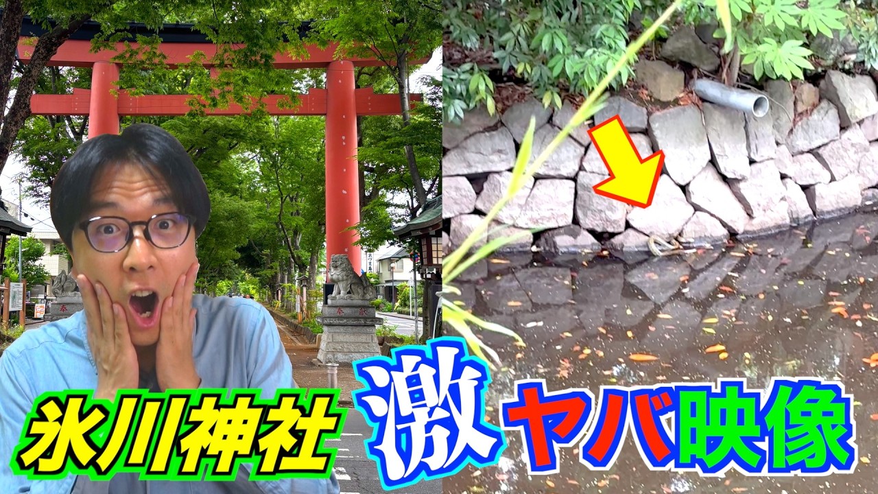 「大宮氷川神社」の「禁足地」に行く直前の『激ヤバ映像』を見てください