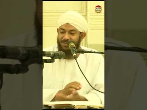 الراجع من هبته كالراجع في قيئه
