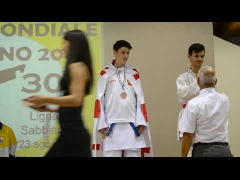 OPEN MONDIALE  - 2015 / თ.გოჩელაშვილი (ბრინჯაოს მედალი)