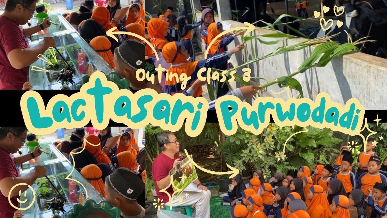 OUTING CLASS 3‼️LACTASARI PURWODADI | MI AL FURQON TAMANSARI | TH 2025 