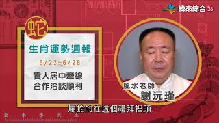 20200622--20200628 風水生肖運勢 兔 龍 蛇
