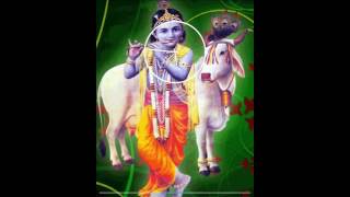 Lord Krishna Live Wallpaper screenshot 4