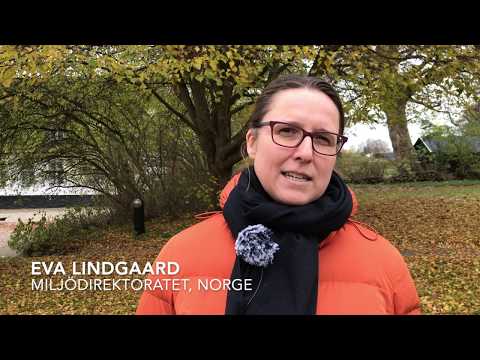 Video: Eluttag som används i Norge