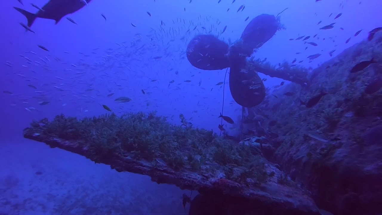 Corveta Camaquã - Wreck Dive - April 24 2021