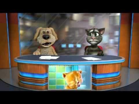 Talking Tom E Tauro