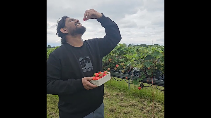 strawberry picking in england 18-06-2024