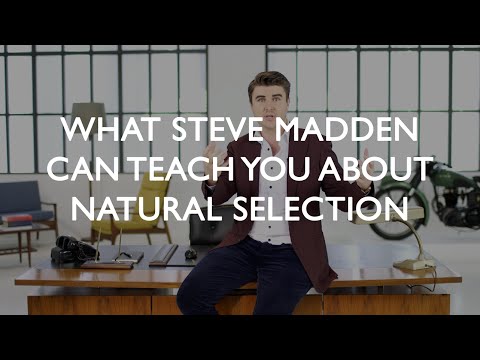 What Steve Madden Can Teach You About Natural Selection