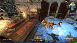 Run in Castle Never - Neverwinter