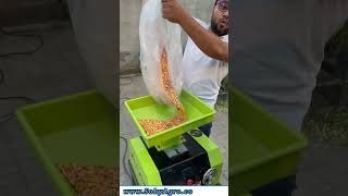 Daliya making Machine | معیاری دلیہ، تیز رفتار پروسیسنگ | #FoodProcessing #HealthyFood #Grain