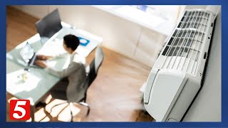 Celebrity Consumer Reports experts give tips to clean up the air in your home Profile