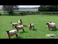 La Baie du Cotentin filmée par un drone