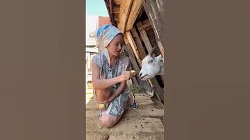 Лакомство для коз