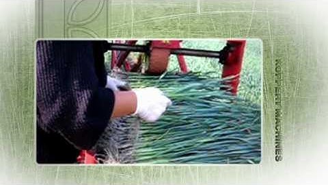 GT Tractors & Koppert  Spring Onion Harvester