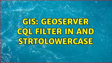 GIS: GeoServer CQL Filter IN and strToLowerCase