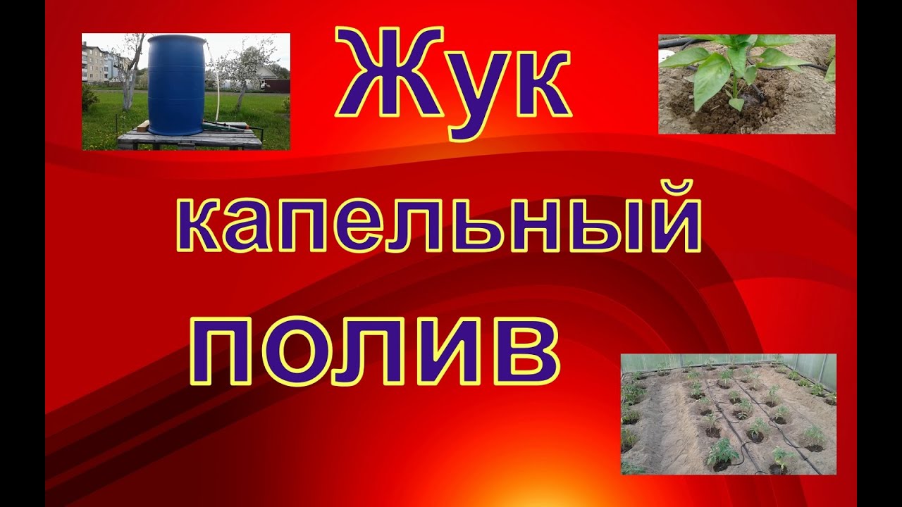Система капельного полива Жук от емкости.Обзор - YouTube