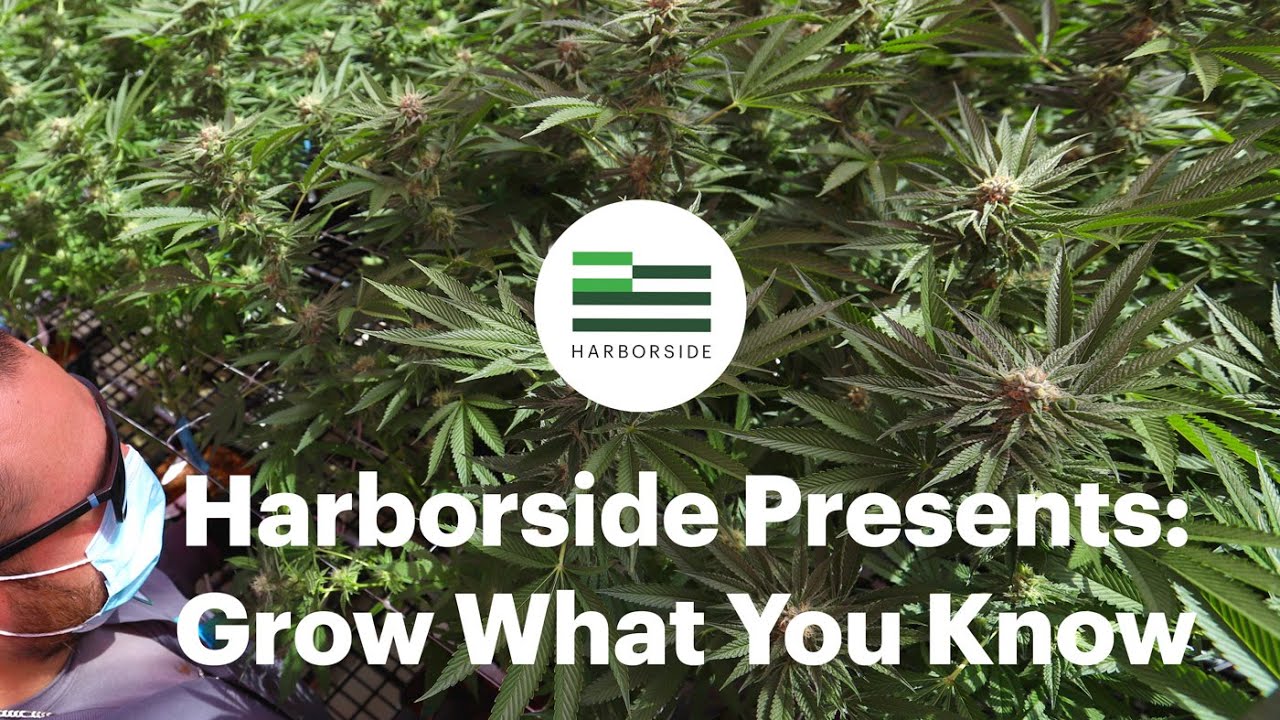 Grow What You Know: Tips from Harborside