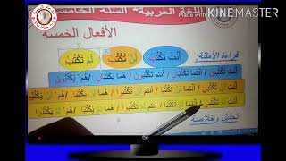 الافعال خمسة (تعريف + اعراب)  للسنة الخامسة