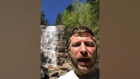 Ayahuasca first retreat report