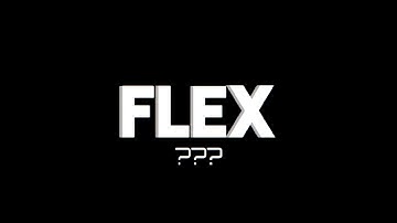 FLEX İNTRO