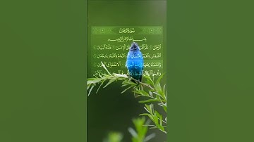 سورة الرحمن #quran #foryou #viral #الجزائر #explorepage