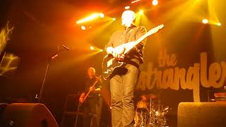 The Stranglers live Amsterdam Melkweg 05-12-2019 Golden Brown