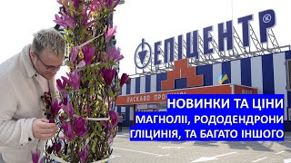 Ціни та новинки в садовому центрі Епіцентр. Великий вибір екзотичних рослин