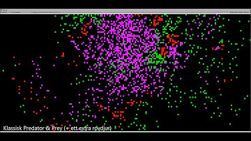 Cellular Automata: Prey & Predator