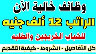 وظائف خالية جديدة  للشباب خريجين وطلبة بمرتبات تصل الى 12 الف جنية التفاصيل والشروط وكيفية التقديم