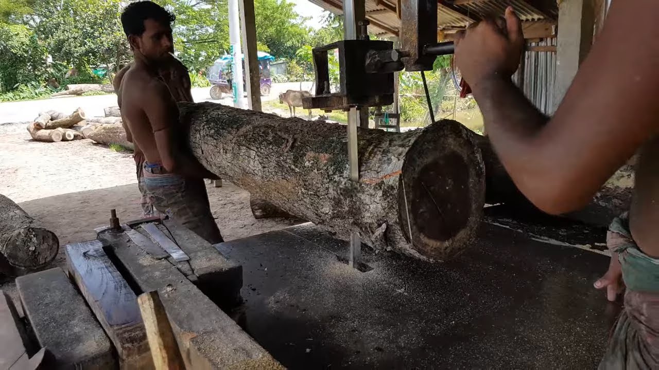 Crocked Wood of Mahogany Cutting Ways at Sawmill।Way of Start Wood Cutting।Wood Cutting Ways