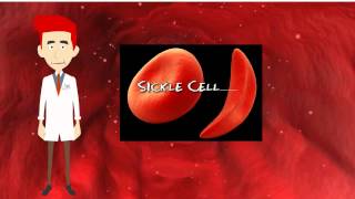 Dr. Ruby - Sickle Cell Video Draft