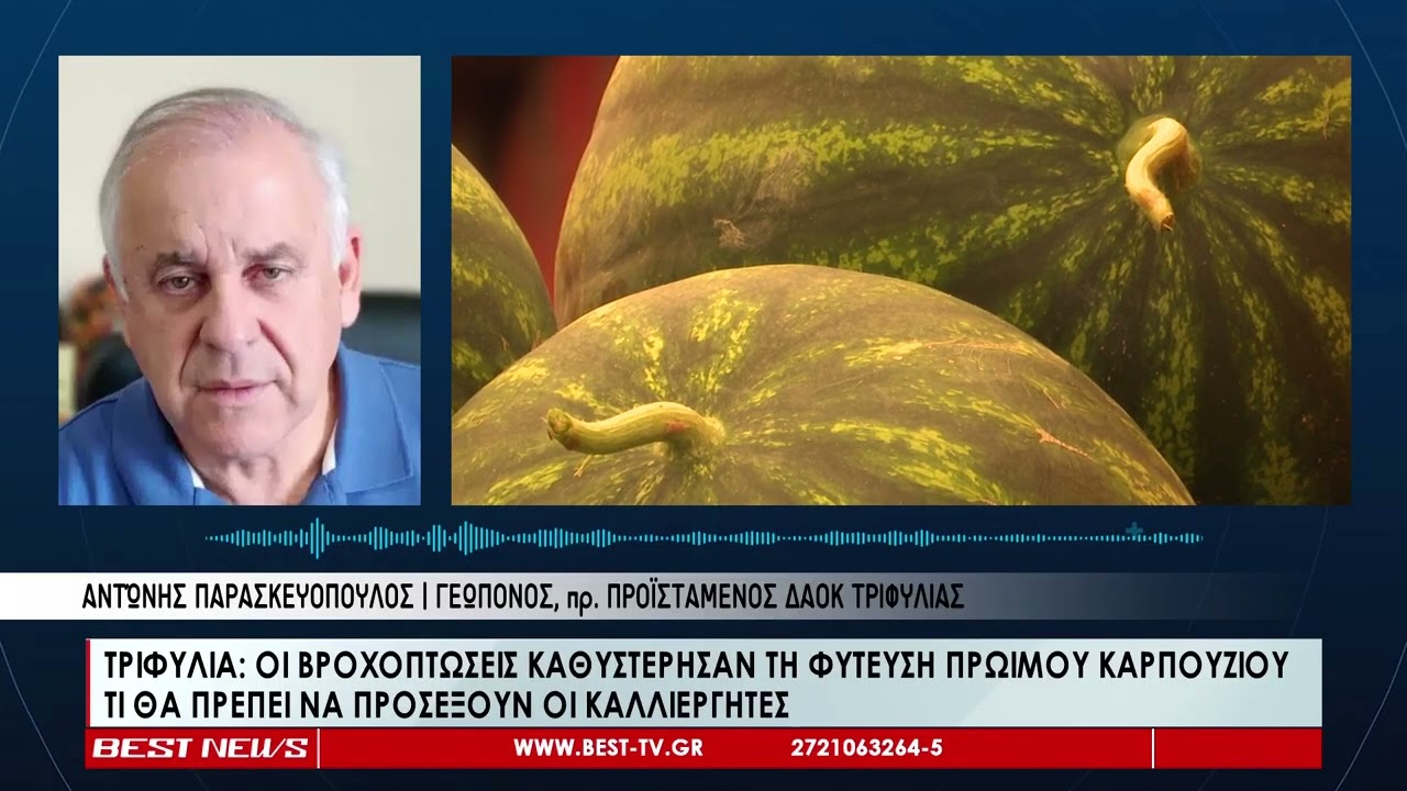 Οι βροχοπτώσεις καθυστέρησαν τη φύτευση του πρώιμου καρπουζιού στην Τριφυλία