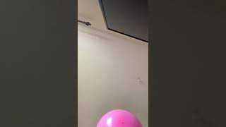Balloon episode #3555