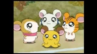Hamtaro Hai Episode 51 - Menemukan Musim Semi - Bahasa Indonesia (2014)