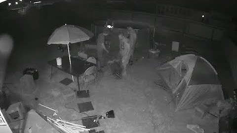 Dramatic video shows alleged sexual predator tackled by girl